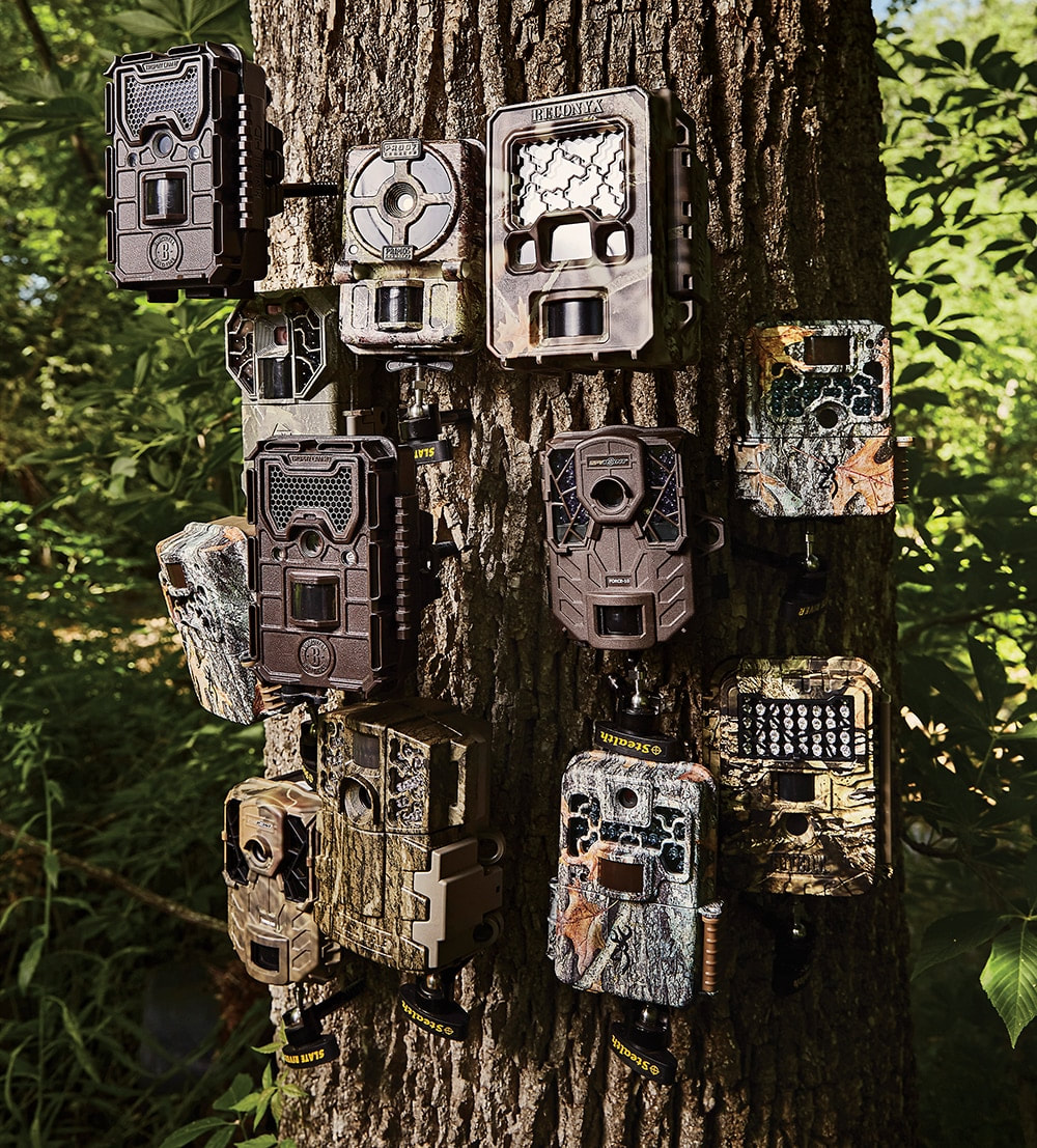 what is the best trail camera for the money